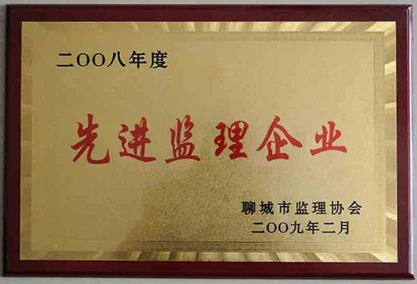 2008先进监理企业